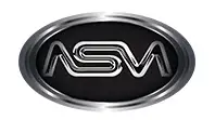 Nasir Syntax Motors logo